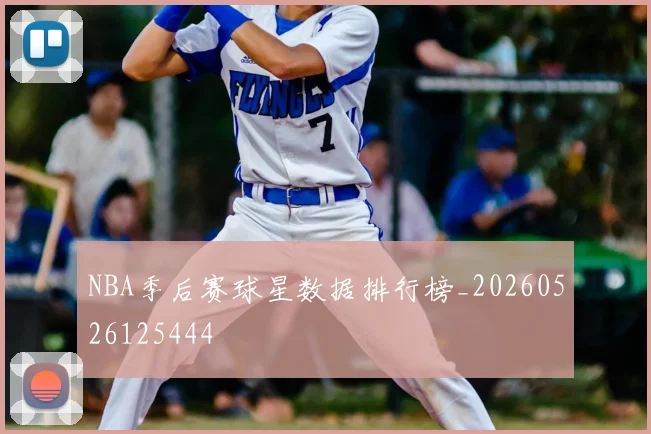 NBA季后赛球星数据排行榜_20260526125444