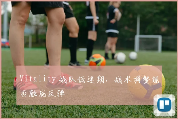 Vitality 战队低迷期，战术调整能否触底反弹