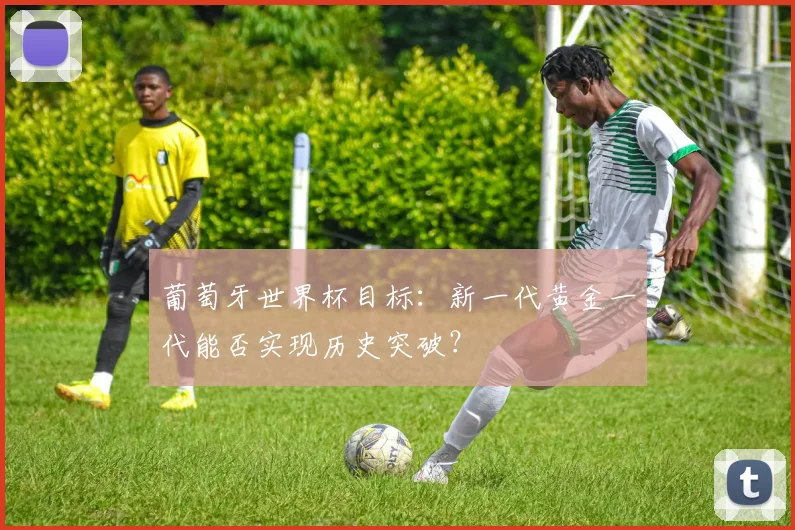 葡萄牙世界杯目标：新一代黄金一代能否实现历史突破？